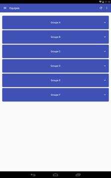 App pour Euro Football 2016 screenshot 11