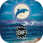 Animation Images Moving Gif icon