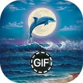 Animation Images Moving Gif 3.5