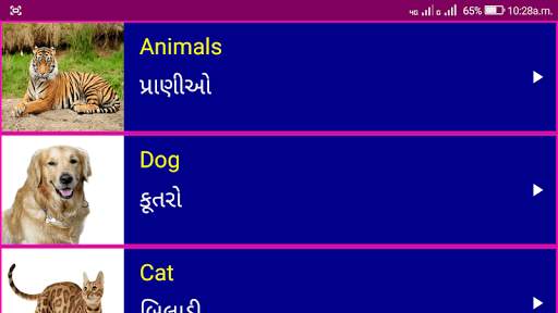 Learn English From Gujarati screenshot 10