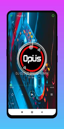 DJ Opus Hits Offline screenshot 5