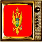 TV Montenegro Info Channel 1.0
