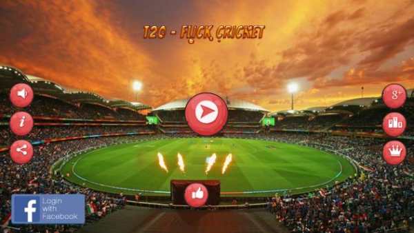 T20 Blast Cricket Flick 2016 screenshot 6