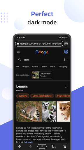 Lemur Browser - extensions screenshot 1