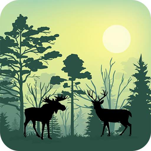 Forest Animals Simulator 1.1