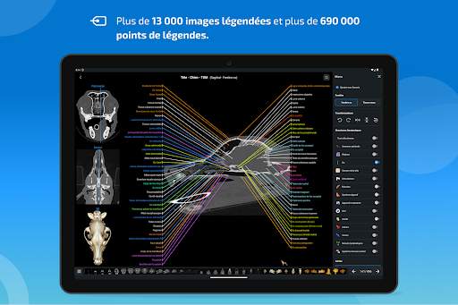 vet-Anatomy screenshot 10