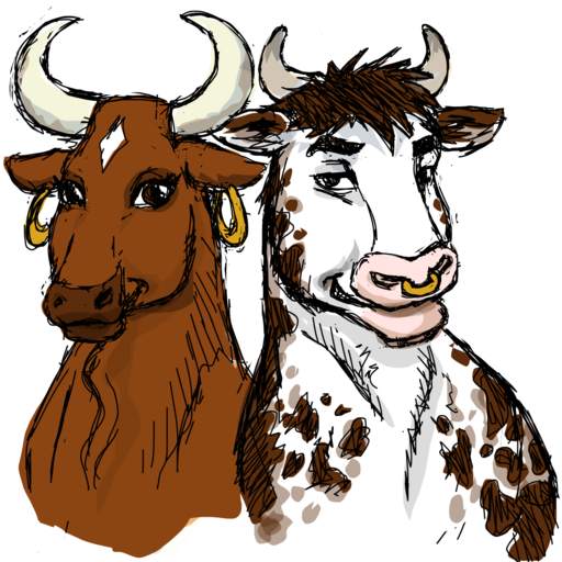 Bulls & Cows - Code Cracker Game 1.2