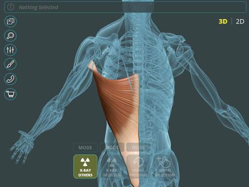 Visual Anatomy 3D | Human screenshot 10