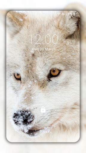 Wolf Wallpaper HD: Backgrounds screenshot 1