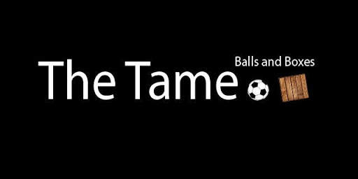 Tame ini - Bola dan Boxes screenshot 1