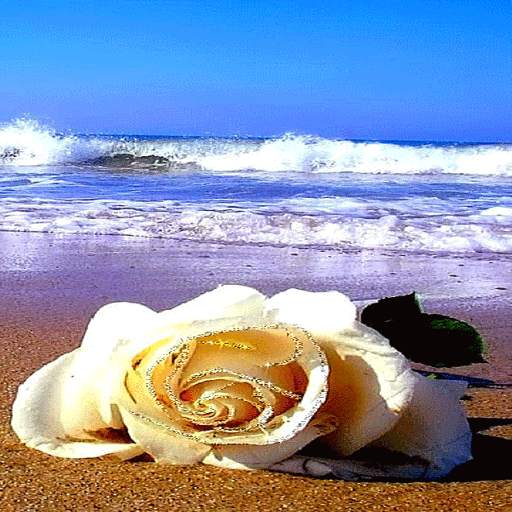 Ocean Flower Live Wallpaper 3