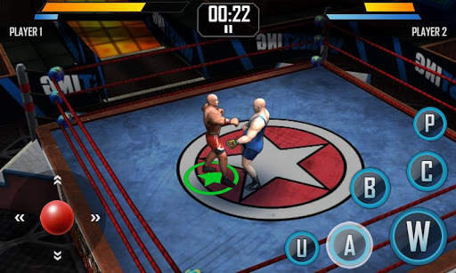 Real Wrestling 3D screenshot 1