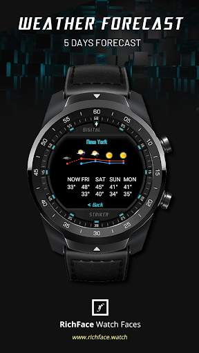 Digital Striker Watch Face screenshot 3