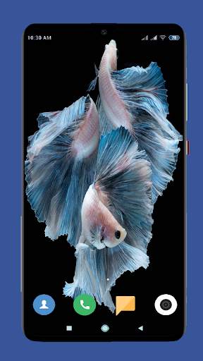 Betta Fish Wallpaper HD screenshot 9