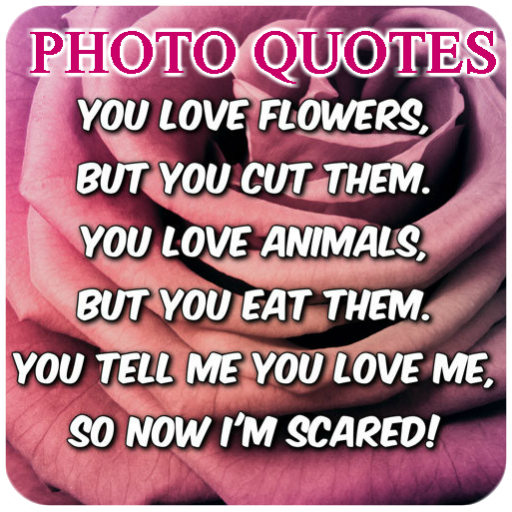 Photo Text- Text on Image icon