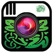 Torch Browser icon