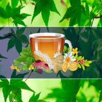 Medicina Natural y Plantas Medicinales