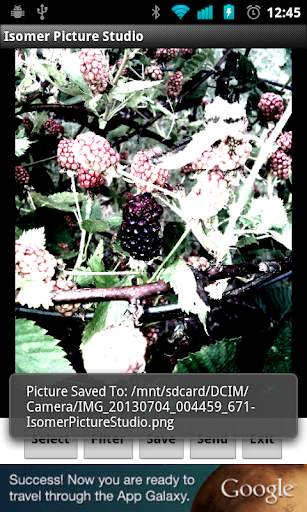 Isomer Picture Studio screenshot 8
