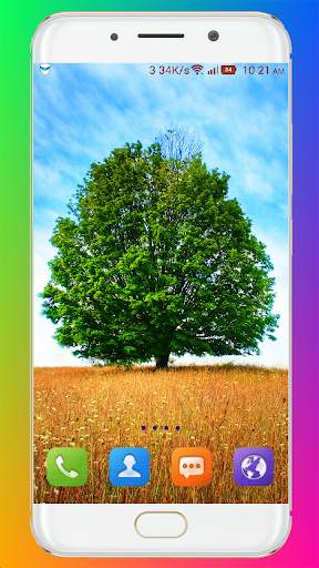 Tree Wallpaper HD screenshot 14
