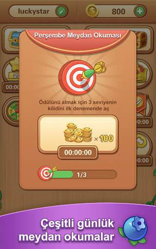 Tile Clash : Blok Puzzle Oyunu screenshot 14