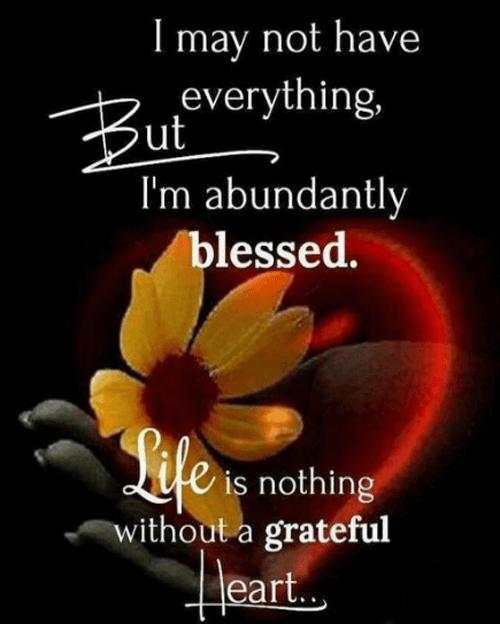 Thankful Quotes screenshot 3