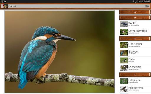 Birdquiz Free screenshot 12