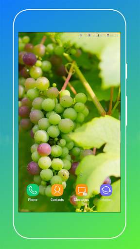 Grapes Wallpapers HD screenshot 13