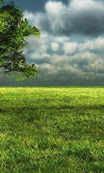 Nature Scenes Wallpapers screenshot 1