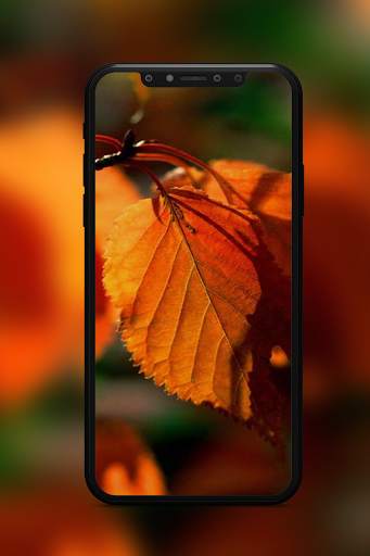 Autumn Wallpaper screenshot 2