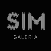 SIM Galeria icon