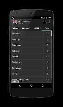 MaxMusic Player screenshot 1