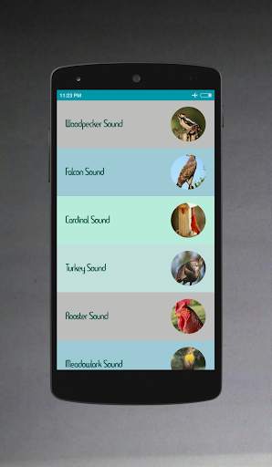Bird Sounds screenshot 3