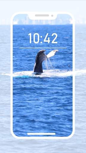 Orca Wallpapers screenshot 8