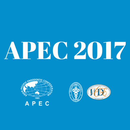 APEC 17 icon