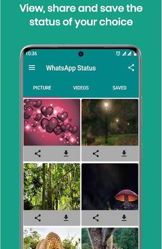 status saver app screenshot 4