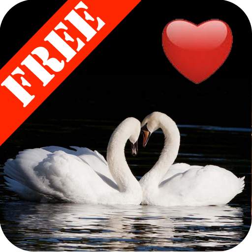 I Love My Photos Free 3.06