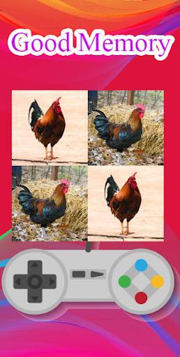 Hen matching game screenshot 8
