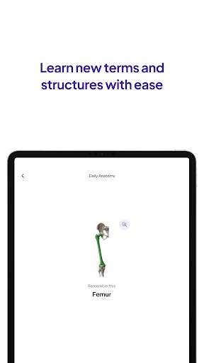 Daily Anatomy Flashcards स्क्रीनशॉट 8