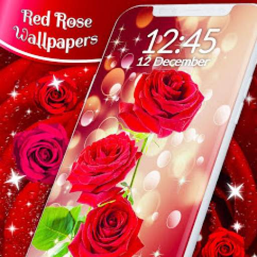 Red Rose's wallpaper &WhatsApp Roses Sticker 3