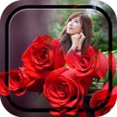 Red Rose Photo Frame 1.5