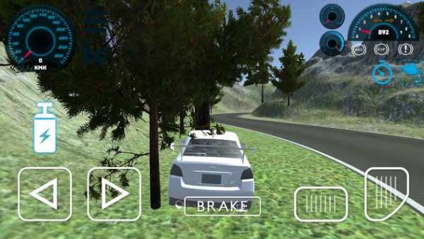 Impanda Racing- car driving racing simulator screenshot 5