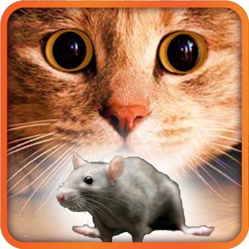 Games for Cat mouse on screen 2.0