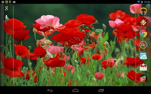 Red Poppies 3D Wallpaper screenshot 6