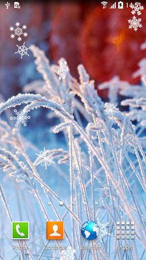 Winter Flowers Live Wallpaper screenshot 2
