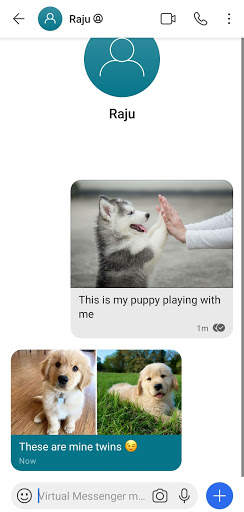 Virtual Signal Messenger screenshot 4