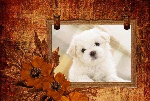 Photo Frames Classic 2 تصوير الشاشة