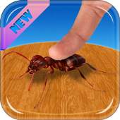 Ant Smash Mania 0.0.3
