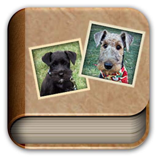 Photo Album Live Wallpaper 1.5