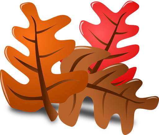 Thanksgiving Wallpapers Free screenshot 17