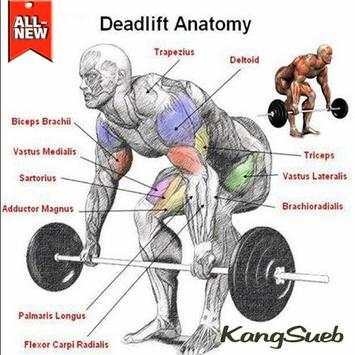 Best Gym Workout Tutorials screenshot 2